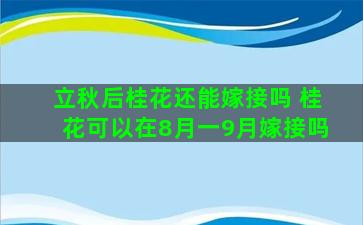 立秋后桂花还能嫁接吗 桂花可以在8月一9月嫁接吗